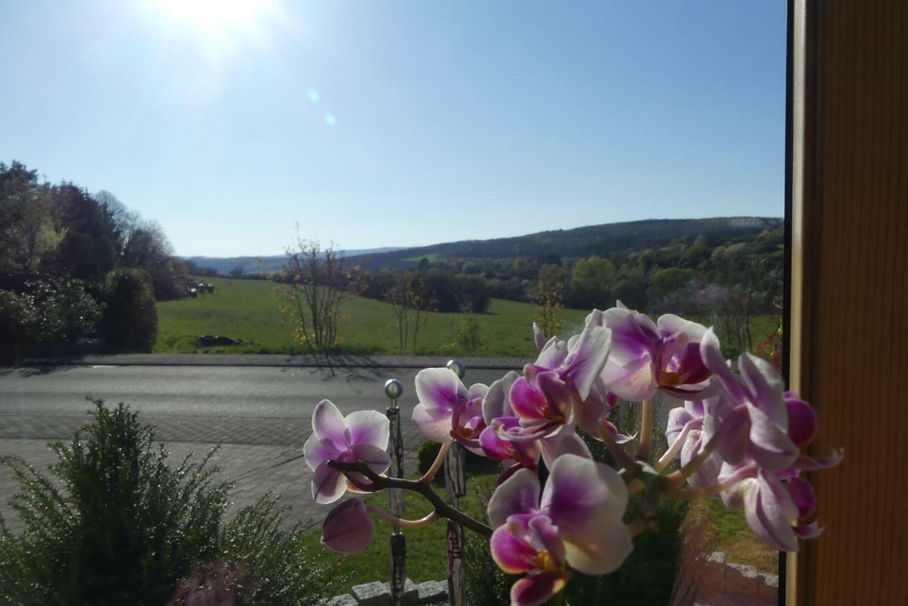 Fewo Sophia Apartman Idar-Oberstein Kültér fotó